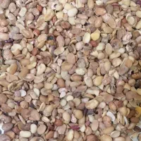 لوبیا چیتی شکسته