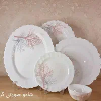 سرویس آرکوپال ساده بدون طرح  و گلدار کف گل جدید|ظروف سرو و پذیرایی|قم, علی آباد سعدگان|دیوار
