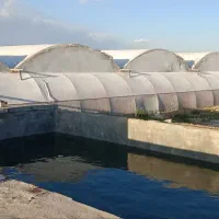 فروش گلخانه با تخفیف میلیاردی|فروش دفتر صنعتی، کشاورزی، تجاری|اصفهان, میرعماد|دیوار