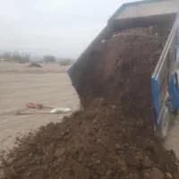 فروش کود گاوی