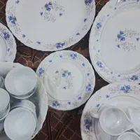 سرویس ارکوپال گل ابی