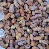 کیلو۱۲۰ کاملا ارگانیک بدون سمپاشی