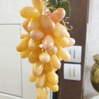 انگور مصنوعی