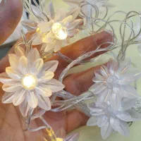 ریسه ال ای دی گلدار|ریسه و چراغ تزئینی|قم, باغ شریفی|دیوار