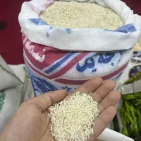 برنج ایران شمال عنبربوپاکستانی وهندی کالابرگ اقساط