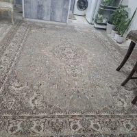قالی|فرش|اهواز, کوی باهنر|دیوار
