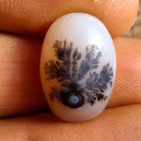 سنگ شجر|جواهرات|اراک, |دیوار