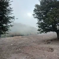 زمین مزروعی گیلان رودبار ییلاق دارستان لاچو