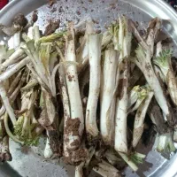 کنگر تازه و تمیز و بومی