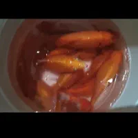 ماهی گلی قرمز مولد شکم پر تخم