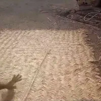 بوریا سنتی بروجرد