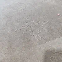 موکت قهوه‌ای