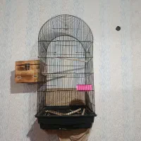 قفس بزرگ طوطی