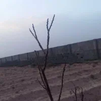 چهاردیواری