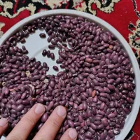 لوبیا قرمز|خوردنی و آشامیدنی|دهگلان, |دیوار