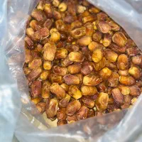 خرمای زاهدی