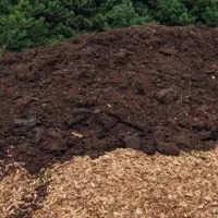 کود گوسفندی