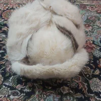 کلاه اصل پوست خرگوش