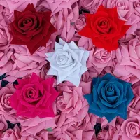 *گل رز مخمل درشت پارچه خارجی*|گل مصنوعی|سیاهکل, |دیوار
