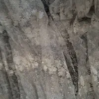 پرده در حدنو