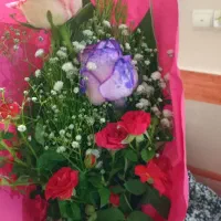 دنیا خواب خواب است