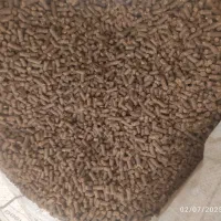 خواک دامی|حیوانات مزرعه|رزن, |دیوار