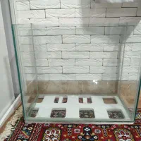 آکواریوم. نو