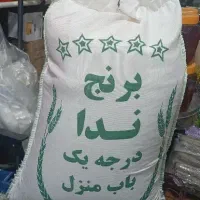 دا.نه بلند  شمال گرگان
