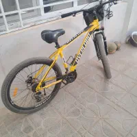 دوچرخه کم کار تمیز