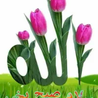 اعطا نمایندگی انواع غذاهای آماده و ساندویچ سرد و..