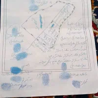 زمین دمی