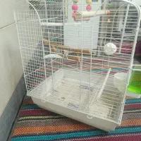 قفس پرنده|لوازم جانبی حیوانات|کرج, عظیمیه|دیوار