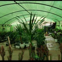 گلخانه با اتاق و حمام و دستشویی و...