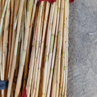 دسته،پیکک وتکی