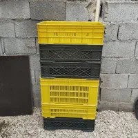 سبد|آبچکان و نظمدهنده ظروف|برازجان, |دیوار