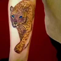 تتوارتیست|خدمات آموزشی|چابهار, |دیوار