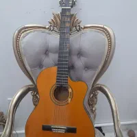 گیتار آریا Ak20