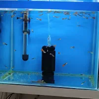 آکواریوم،وسایل آکواریوم