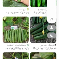 اجاره ۳ هکتار زمین دیم با چاه دربست