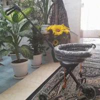 لوازم کودک|کالسکه و لوازم جانبی|بروجن, |دیوار
