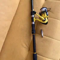 لنسر ماهیگیری