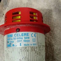 مرغ مینا|پرنده|یزد, |دیوار