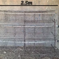 قفس مرغ تخمگذار