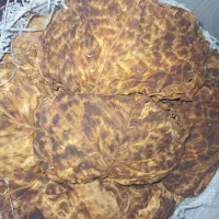برگ کاهو