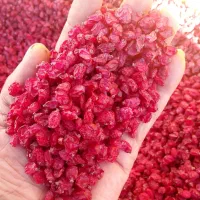 زرشک پلویی وعناب نرم باکیفیت