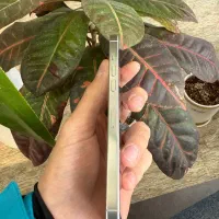 Iphone 16 pro max ZAA|موبایل|کرمانشاه, |دیوار