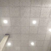نیروی ساده برای باغبانی با جای خواب