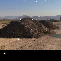 کود حیوانی