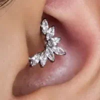 خدمات و آموزش،پرسینگ،میکرودرمال،چالگونه
