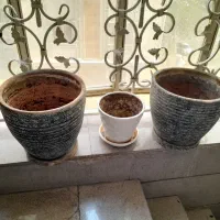 گلدان سفالی